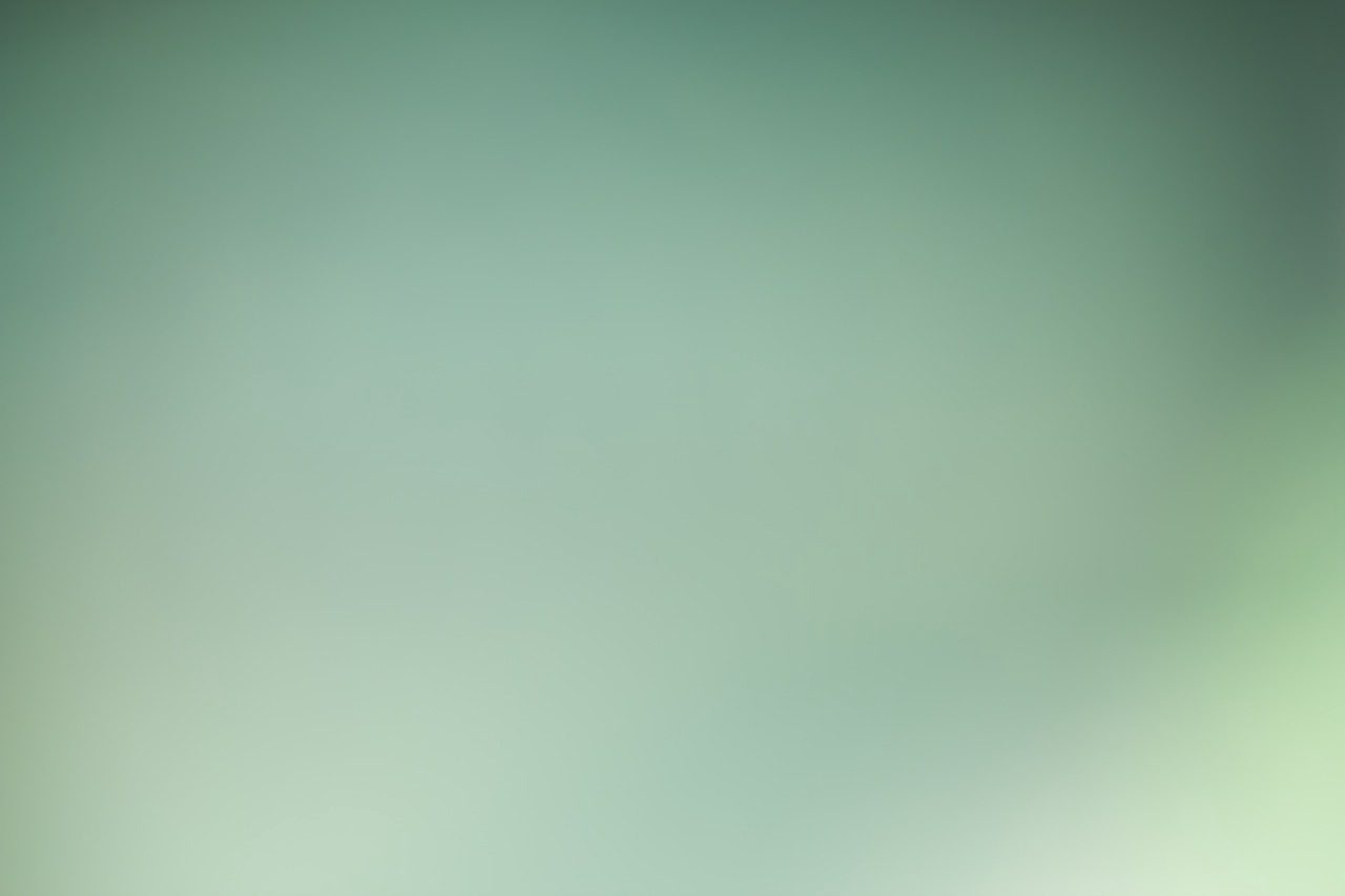45333738651870|45333738684638|45333738848478|45333738881246